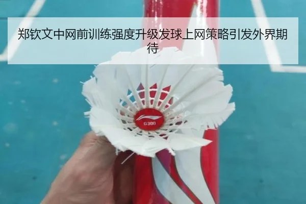 郑钦文中网前训练强度升级发球上网策略引发外界期待 - LEYUESPORTS
